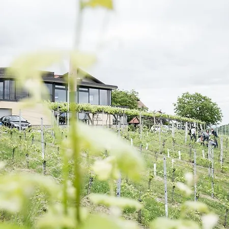 Han/Misafirhane Weinhotel Maitz Wolfgang